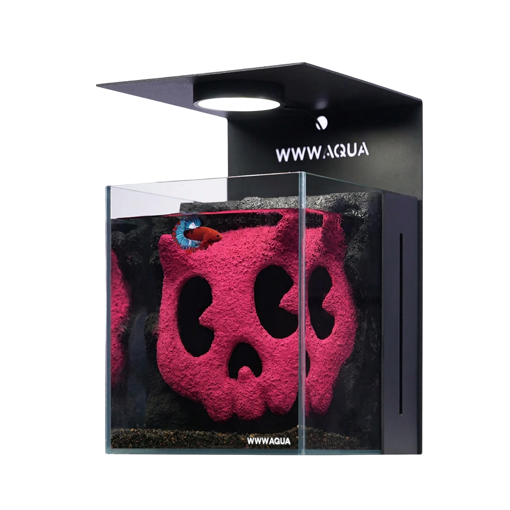 Bonbobo