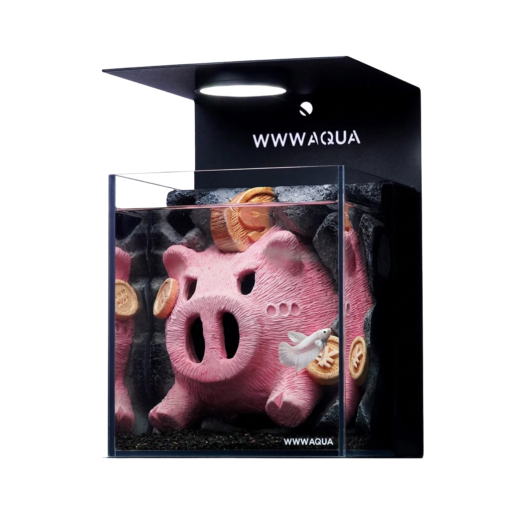 Lucky Piglet